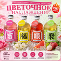 «Винный бар» – серия сливовых ликёров (6%, 320 мл)